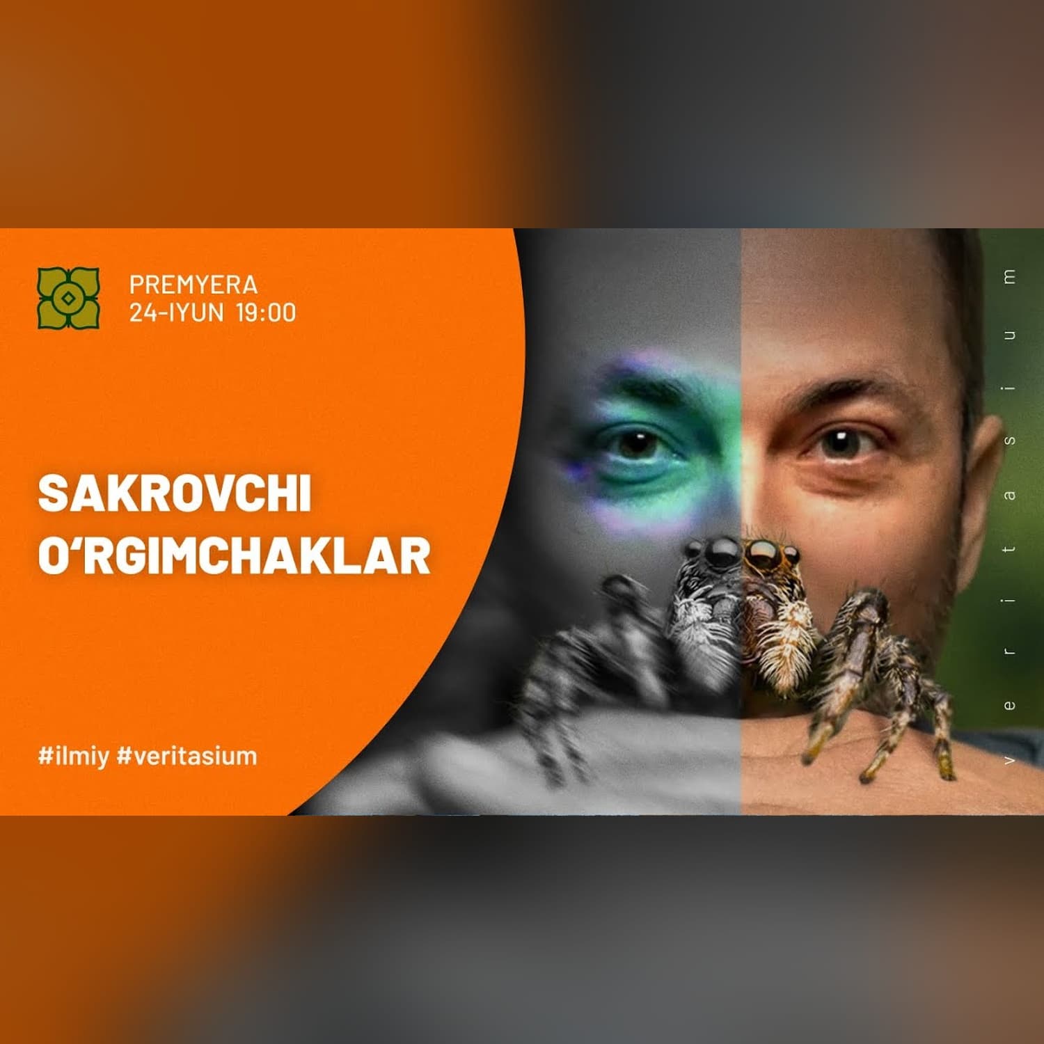 Sakrovchi O‘rgimchaklar Va Ularning “Dunyoqarashi” | @Xurmomedia x @veritasium
