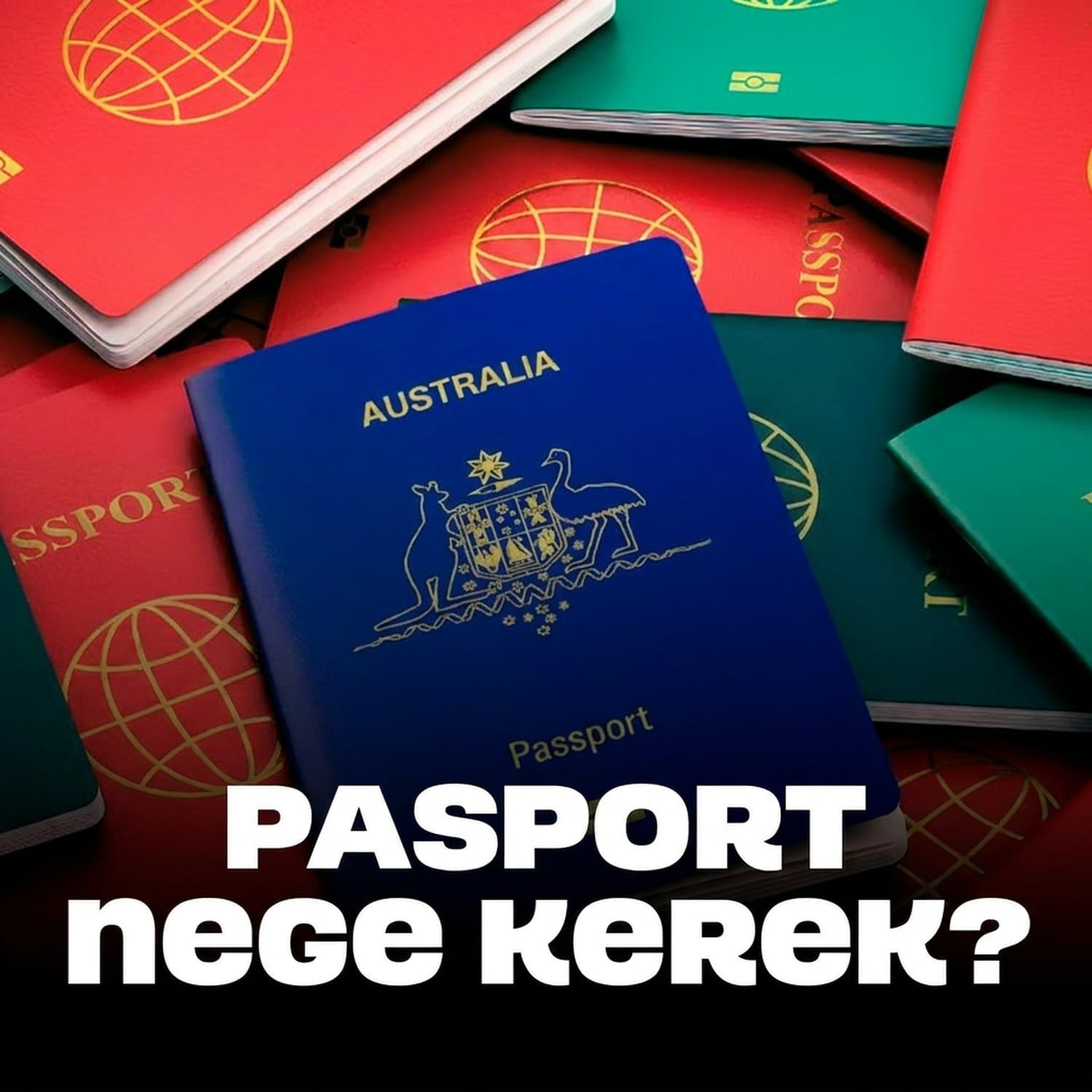 Pasport qalay payda boldı? | Tariyx | Aydın